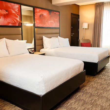 Hilton Garden Inn Guatemala-Stad Buitenkant foto
